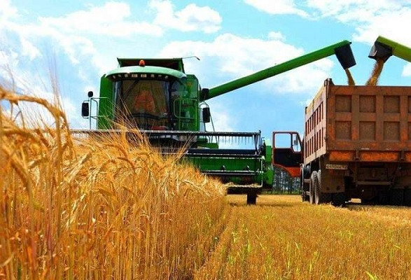 Осень-2023: намолочено почти 29 млн тонн зерна