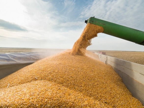 Польский министр заявил, что стремление Украины снять ограничения на импорт сельскохозяйственной продукции 