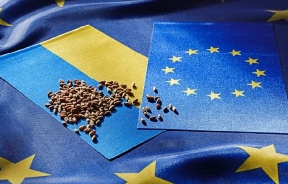 Комиссар ЕС выразил поддержку идее компенсации украинским аграриям затрат на экспортную логистику