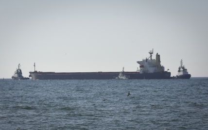 Три страны НАТО хотят очистить Черное море от российских мин: что об этом известно