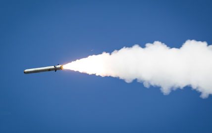 Почему российские "ТУшки" вместо 8 ракет выпускают одну: Маломуж объяснил