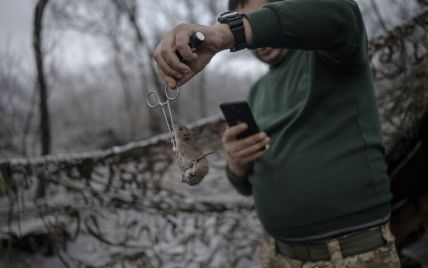 Эхо Первой мировой: в CNN рассказали о крысином нашествии в окопах украинских защитников