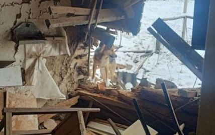 "Снаряд попал прямо ему в комнату": от российского удара погиб последний житель села Сумской области